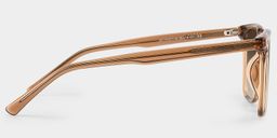 Eliza Light Brown Square Sunglasses3
