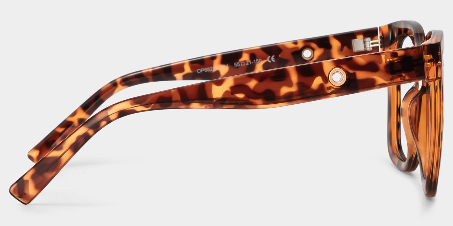 Ebony Tortoise Eyeglasses and Square Glasses Frames3
