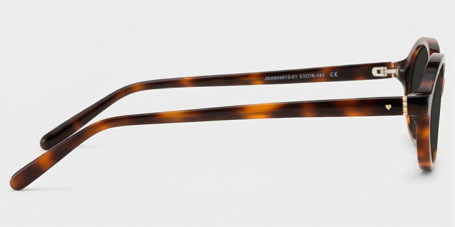 Everly Acetate Tortoise Frame Sunglasses | ZEELOOL UK3