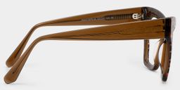 Ansyah Leopard Cat eye Glasses3
