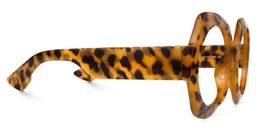 Geoffrey Tortoise Geometric Glasses2