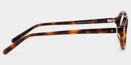 Everly Tortoise Oval Glasses7