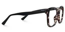 Siner Havana Square Glasses3