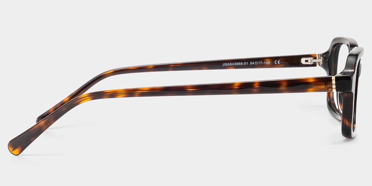 Danielle Matte Brown Tortoise Rectangle Glasses | ZEELOOL3