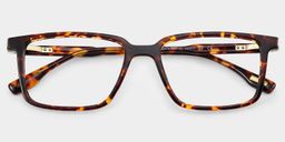 Cyrus Tortoise Rectangle Glasses1