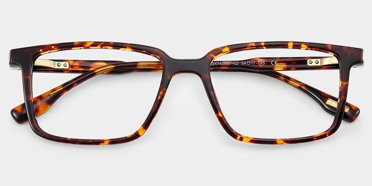 Cyrus Tortoise Rectangle Glasses
