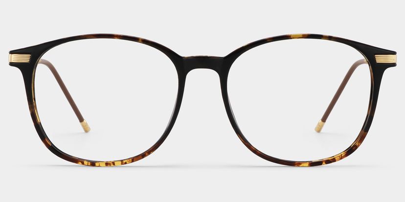 Greene Tortoise Square Glasses
