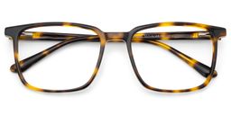 Aidan Tortoise Rectangle Glasses1