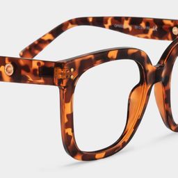 Ebony Tortoise Square Glasses4