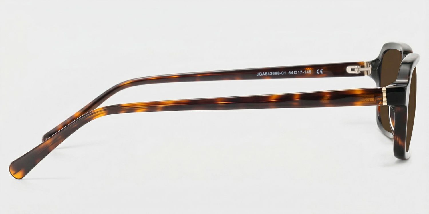 Danielle Acetate Tortoise Frame Sunglasses | ZEELOOL UK3