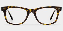 Robert Tortoise Rectangle Glasses1
