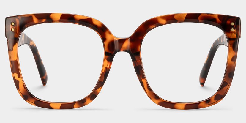 Ebony Tortoise Square Glasses
