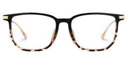 Fezell Tortoise Rectangle Glasses0
