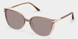 Rodz Brown Square Sunglasses2