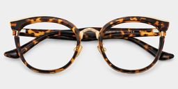 Laraine Tortoise Cat eye Glasses1
