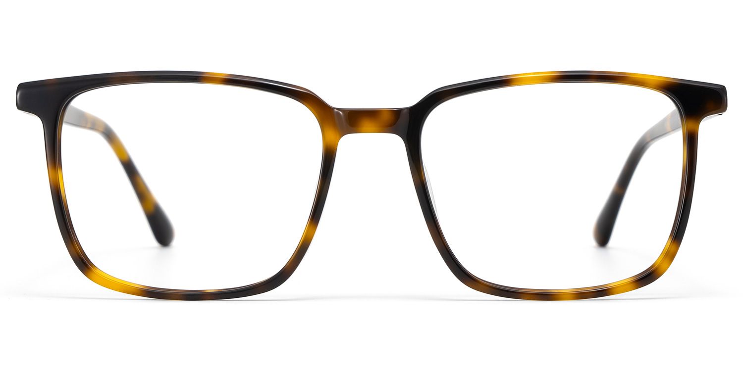 Rectangle Tortoise Eyeglasses- Aidan Acetate Frame Glasses0