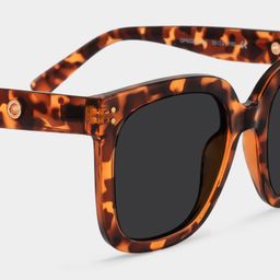 Ebony Tortoise Square Sunglasses4