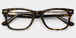 Robert Tortoise Rectangle Glasses2