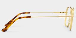 Poppy Gold Aviator Glasses4