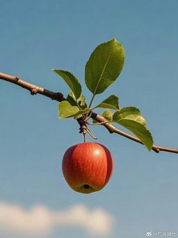 Benitez Square Blue Glasses0