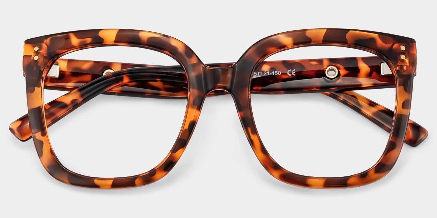 Ebony Tortoise Eyeglasses and Square Glasses Frames1