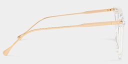 Hilary Clear Butterfly Glasses3