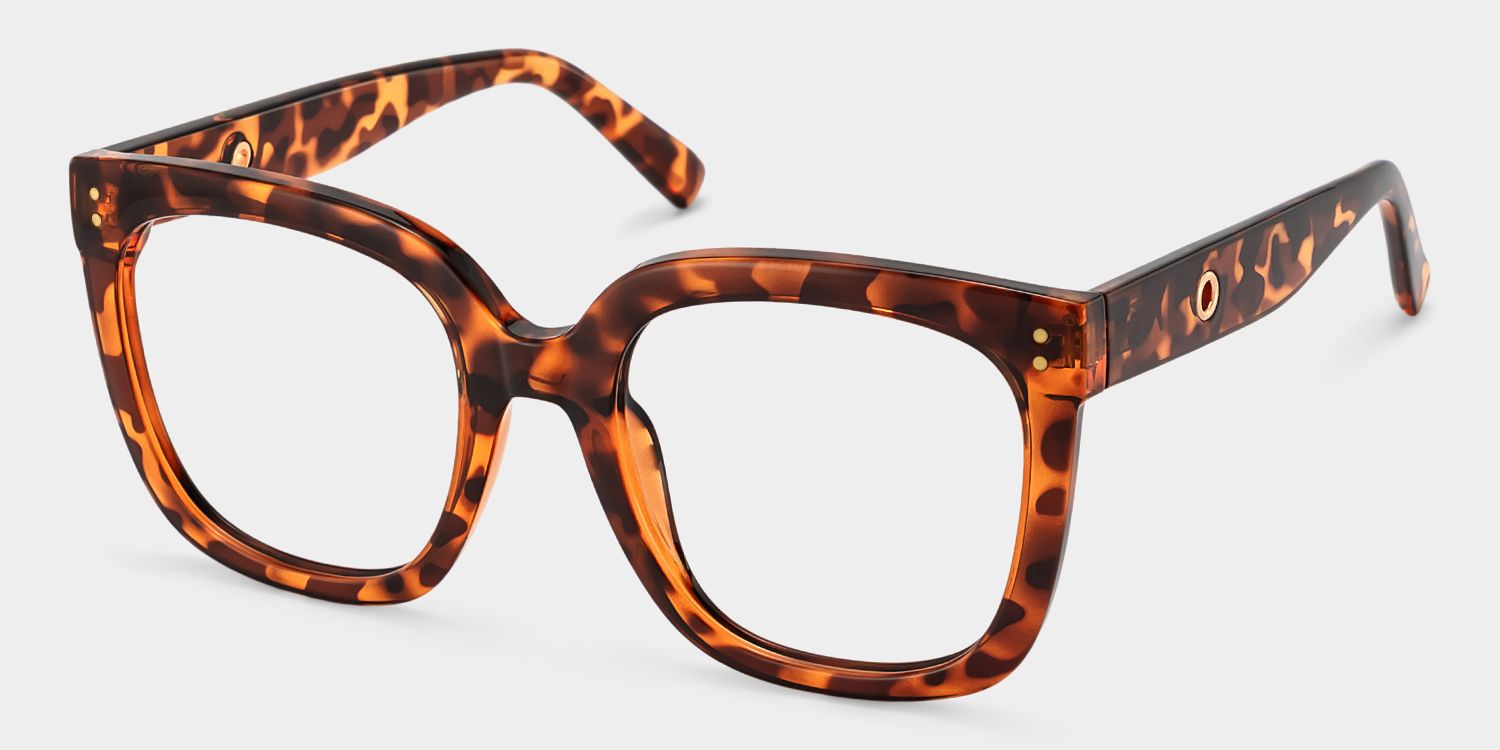 Ebony Tortoise Eyeglasses and Square Glasses Frames2