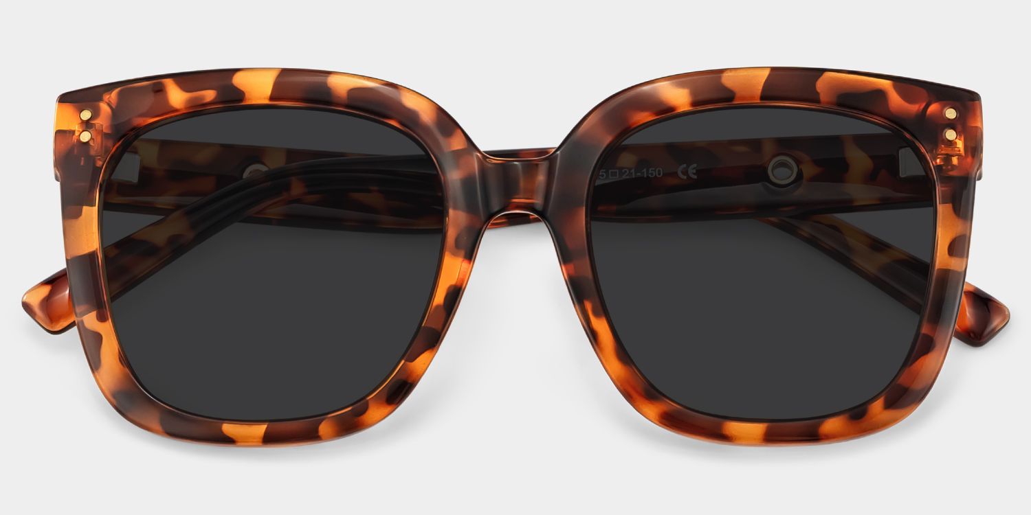 Ebony Tortoise Square Polarized Sunglasses for Driving | ZEELOOL UK1
