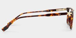 Cyrus Tortoise Rectangle Glasses3