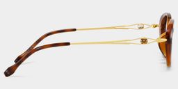 Blaire Tortoise Oval Glasses4