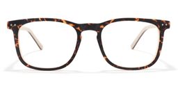 Edgar Square Tortoise Glasses0