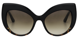 Tania Cateye Tortoise Sunglasses0