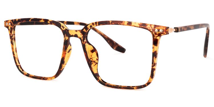 Tobias Square Tortoise Glasses