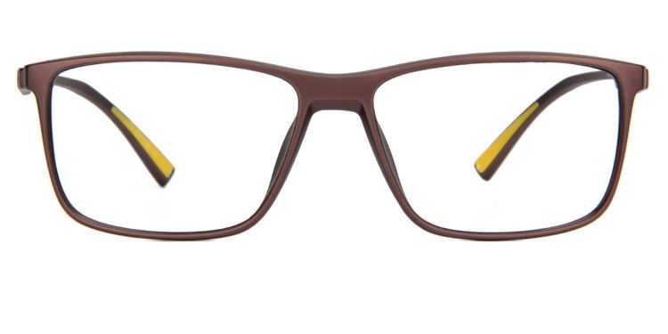 Amaryllis Rectangle Glasses