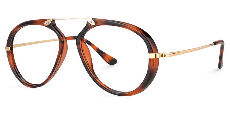 Darius Geometric Tortoise Glasses