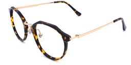 Jacqueline Geometric Tortoise Glasses4
