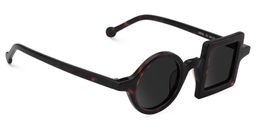 Paola Asymmetric Tortoise Sunglasses2
