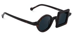 Paola Asymmetric Tortoise Sunglasses2