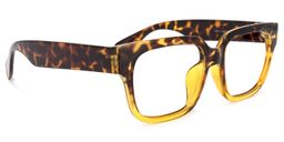 Colin Rectangle Tortoise Glasses2