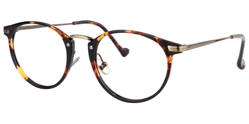 Round Tortoise Glasses | Zeelool Eyeglasses2
