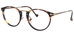 Carlisle Round Tortoise Glasses2