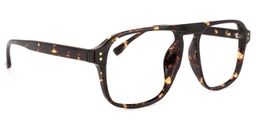 Willow Geometric Tortoise Glasses2