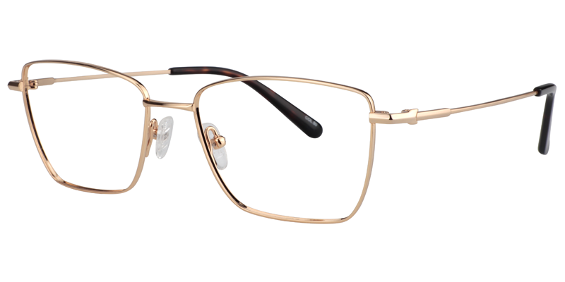 Rectangle Gold Glasses | Zeelool Eyeglass Frames2