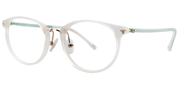Nelson Oval Clear Glasses2