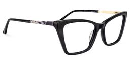 Douglass Cat Eye Black Glasses1
