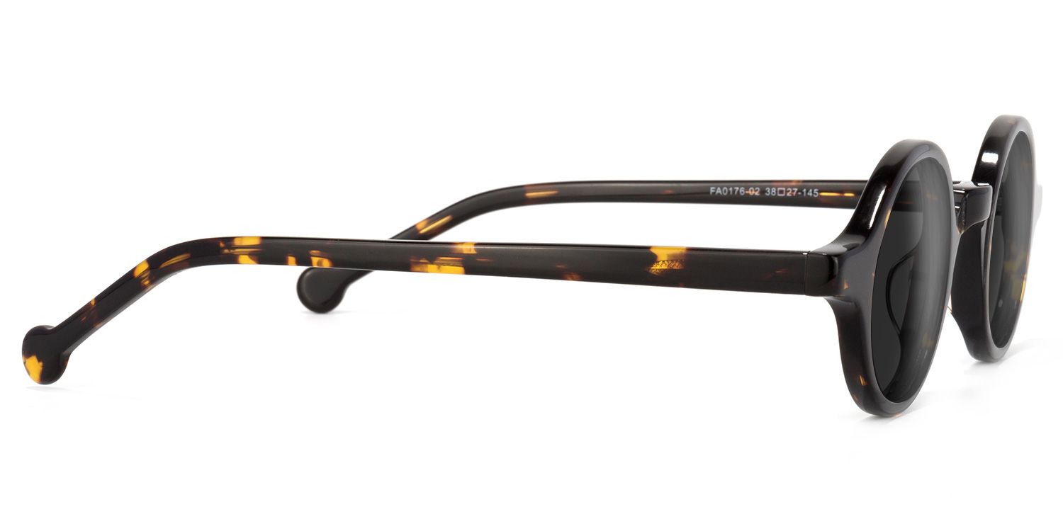 Arale Round Sunglasses with Acetate Tortoise Frames | ZEELOOL CA2