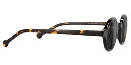 Arale Tortoise Round Sunglasses2