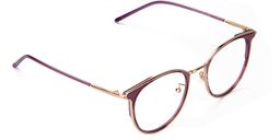 Beatrice Unique Cat Eye Glasses4