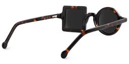 Paola Asymmetric Tortoise Sunglasses4