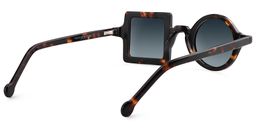 Paola Asymmetric Tortoise Sunglasses4